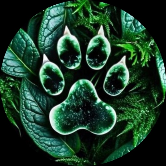 weevilcat